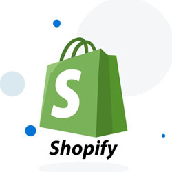 shopify Web Design And Development Services