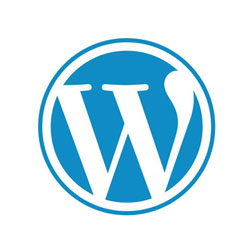 wordpress Web Design And Development Services